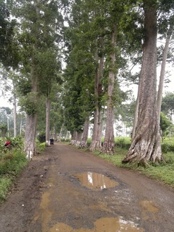 Curug Malela, alhamdulillah sesuatu!