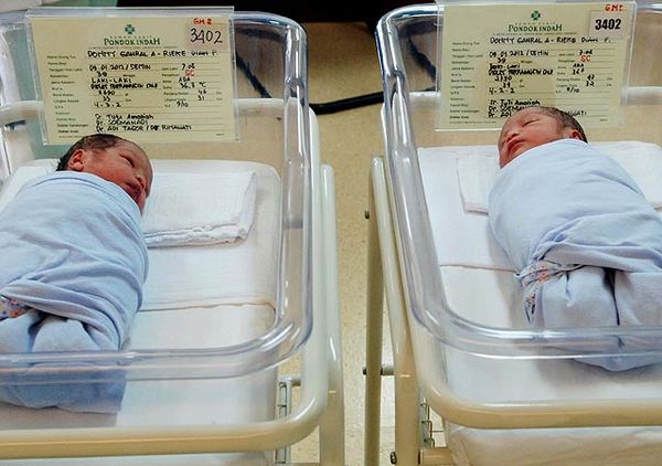Ini Dia Bayi Kembar Rieke Dyah Pitaloka