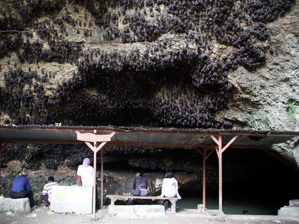 Mengunjungi Goa Ngerong