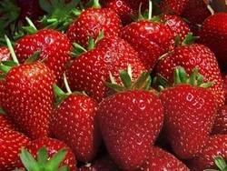 Ingin Ramping Alami? Makan Strawberry Saja!