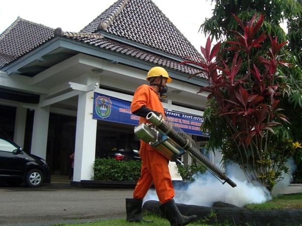 Sambut SBY, Pendopo Kabupaten Pacitan Difogging