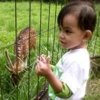 Revand Ahmad Satria, 3,2 Tahun; Lelaki; m