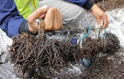 Bersihkan Ranjau Paku, Relawan Saber Dapat Penghargaan Polda Metro