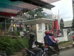  Bruk! Pohon Rubuh di Simatupang Timpa Pos Satpam