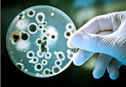 Cara Baru Melawan Infeksi, Bukan Dibunuh Tapi Diblokir