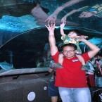 Fabian Putra Anzil Firdaus, 2,7 Tahun; Lelaki; m