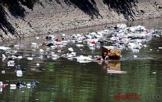 Buset! Tiap Hari Sampah Seluas 7 Lapangan Bola Masuk ke Sungai Ciliwung 