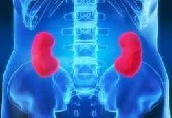 Ini Syaratnya untuk Jadi Donor Ginjal