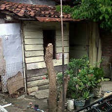 Dihantui Ketakutan, Samsuri Gantung Diri Dengan Sarung