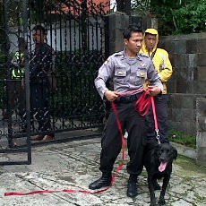 Polisi Kerahkan Anjing Pelacak di Rumah Konsulat Perancis