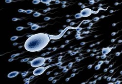 Sering Ejakulasi Baik untuk Kualitas Sperma