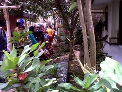 Ada Bau Busuk dari dalam Rumah, Ternyata Penghuninya Sudah Tak Bernyawa