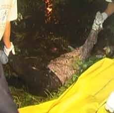 Sesosok Mayat Wanita Ditemukan di Sungai Perbatasan Dua Desa