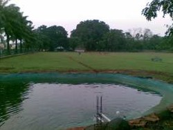 Sstt! Ada Proyek Rp 598 Juta untuk Beri Makan Rusa di DPR