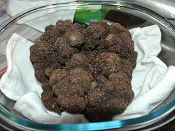 Jamur Truffel Terbesar di Dunia Mulai Dijual