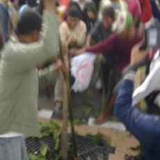 Tak Ditemui Gubernur, Massa Hujat Pakde Karwo dan Lempari Polisi