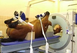 CT Scan Biasa Tak Muat, Pasien Gemuk Dirujuk ke Bonbin