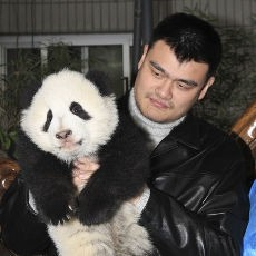 Yao Ming Kini Terjun ke Politik