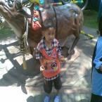Wildan Nasywa Alfalah, 4,6 Tahun; Lelaki; m