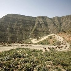 5 Turis Eropa Tewas Dalam Serangan Teroris di Ethiopia