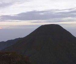 Mencari Mentari Pagi di Gunung Gede Pangrango