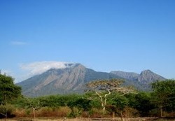 Bertualang Ala Afrika di Taman Nasional Baluran