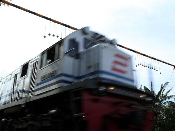 Bola-bola Beton Efektif Usir Atapers