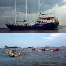 Kapal Maruta Jaya di Priok Harus Cepat Diangkat, Kemenhub Siap Bantu