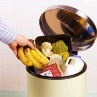 Boros, 50% Pangan Tiap Tahun Terbuang Sia-sia 