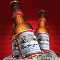 FIFA Ingin Bir Dilegalkan di Piala Dunia 2014