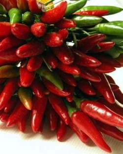 6 Makanan Ini Membakar Lemak Lebih Cepat!