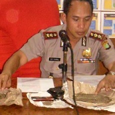 Jual Ganja, Perempuan Cantik nan Bahenol Dibekuk di Depok