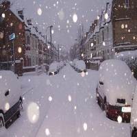 700 Penerbangan di Chicago Dibatalkan Akibat Salju