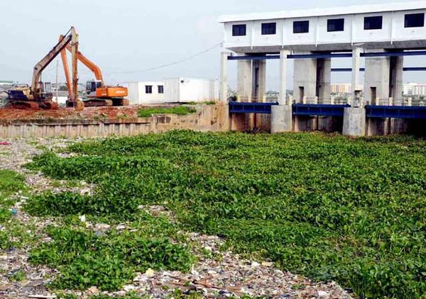 Ups, Pintu Air BKT Tertutup Enceng Gondok