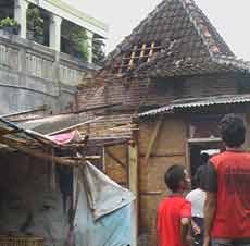 Pohon Kelapa Roboh Timpa Rumah dan Balita