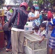 Perayaan Imlek, Nana Raup Rp 3 Juta dari Jualan Pipit