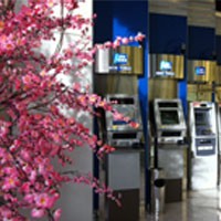 Imlek 2563 : Dari Angpao Hingga Yuan