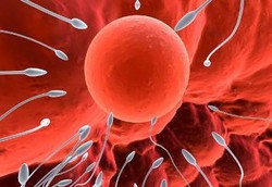 Hidup di Kota Besar Bisa Merusak Sperma Pria