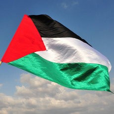 Duh! Gadis Palestina Dikurung Ayahnya di Kamar Mandi Selama 10 Tahun 