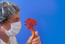 Flu Burung yang Terjadi Saat Ini Tidak Menular Antar Manusia