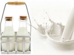 Susu Organik vs Susu Biasa, Mana yang Lebih Enak?