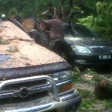 Pohon Tumbang di Jl Dharmawangsa Bikin Rusak 5 Mobil