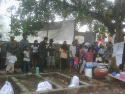 Heboh Pohon Nangka Berbuah Pisang di Tangerang