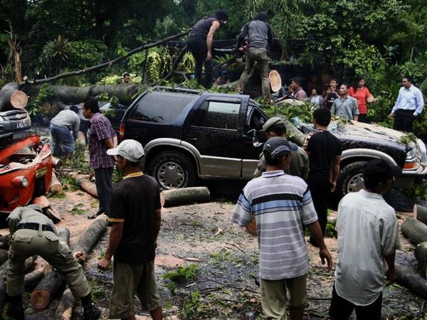 Tertimpa Pohon Sopir Bajaj Tewas