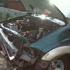 Pohon Mahoni Roboh Timpa Panther