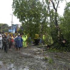 Puting Beliung Terjang 6 Kecamatan di Situbondo