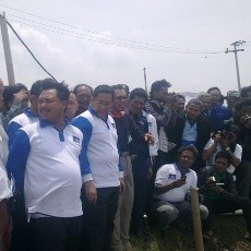 Byur! Anas Nyemplung di Tambak Udang