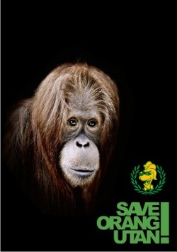 Free Download: Shaggydog - Selamatkan atau Hilang (Kampanye Penyelamatan Orangutan)