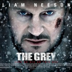 Film The Grey Diprotes Pecinta Binatang