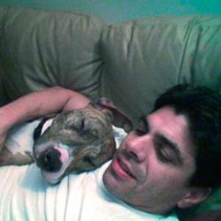 Merasa Khianati Anjing Kesayangan, Aktor Opera Sabun Bunuh Diri